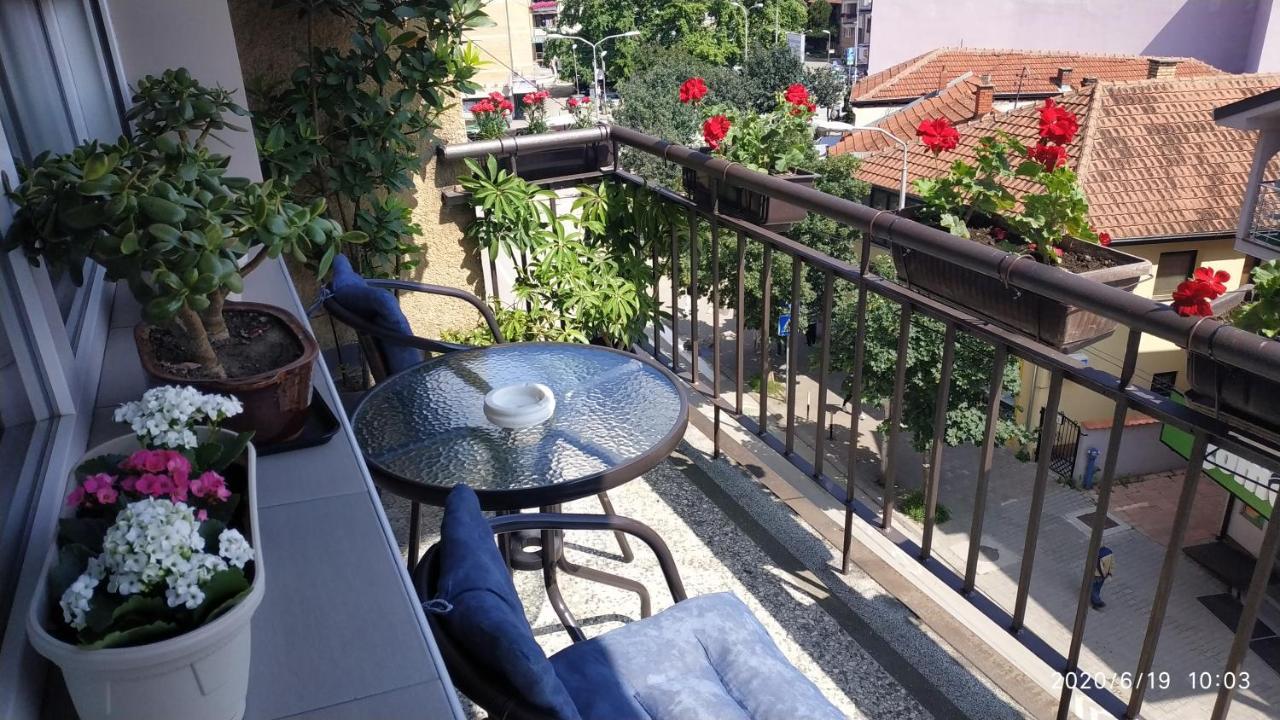 Apartman Rada 피로트 외부 사진